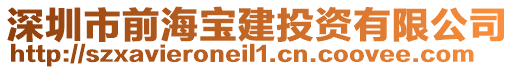 深圳市前海寶建投資有限公司