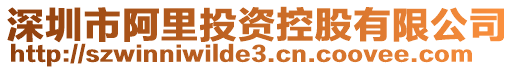 深圳市阿里投資控股有限公司