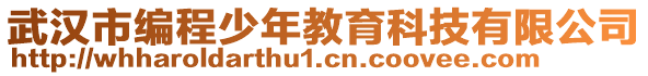 武漢市編程少年教育科技有限公司