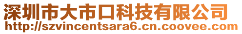 深圳市大市口科技有限公司