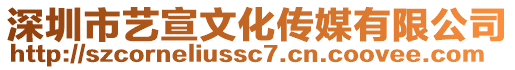 深圳市藝宣文化傳媒有限公司