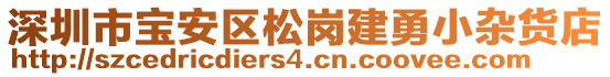 深圳市寶安區(qū)松崗建勇小雜貨店