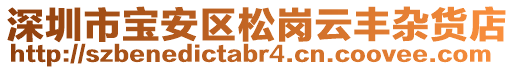 深圳市寶安區(qū)松崗云豐雜貨店