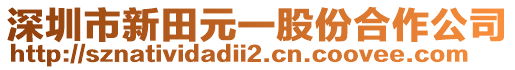 深圳市新田元一股份合作公司