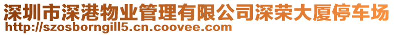 深圳市深港物業(yè)管理有限公司深榮大廈停車(chē)場(chǎng)