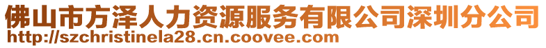 佛山市方澤人力資源服務(wù)有限公司深圳分公司