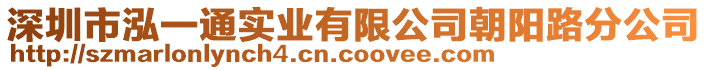 深圳市泓一通實(shí)業(yè)有限公司朝陽(yáng)路分公司