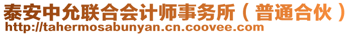 泰安中允聯(lián)合會計師事務(wù)所（普通合伙）