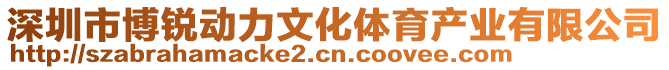 深圳市博銳動力文化體育產業(yè)有限公司