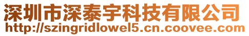 深圳市深泰宇科技有限公司