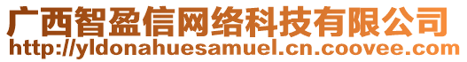 廣西智盈信網(wǎng)絡(luò)科技有限公司