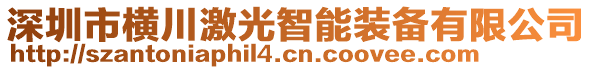 深圳市橫川激光智能裝備有限公司