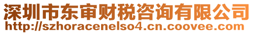 深圳市東審財(cái)稅咨詢有限公司