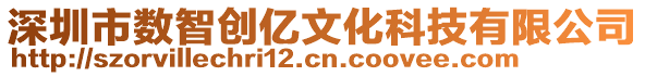 深圳市數(shù)智創(chuàng)億文化科技有限公司