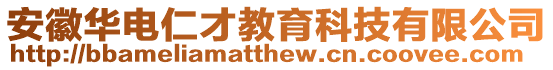 安徽華電仁才教育科技有限公司