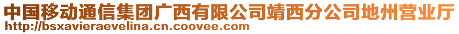 中國移動通信集團廣西有限公司靖西分公司地州營業(yè)廳