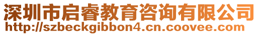 深圳市啟睿教育咨詢有限公司