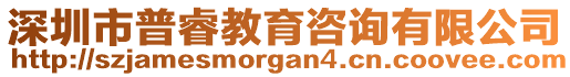 深圳市普睿教育咨詢有限公司