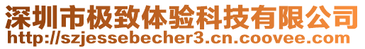 深圳市極致體驗科技有限公司