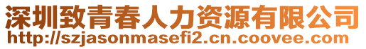 深圳致青春人力資源有限公司