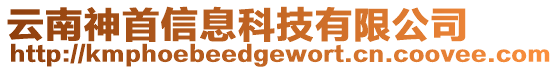 云南神首信息科技有限公司