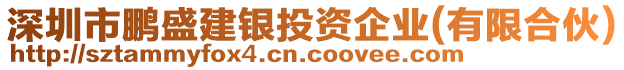 深圳市鵬盛建銀投資企業(有限合伙)