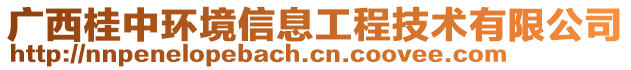廣西桂中環(huán)境信息工程技術(shù)有限公司
