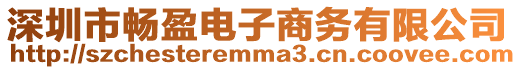 深圳市暢盈電子商務(wù)有限公司