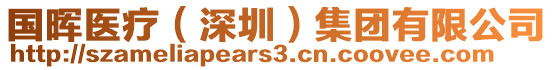 國暉醫療（深圳）集團有限公司