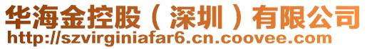 華海金控股（深圳）有限公司