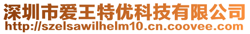 深圳市愛王特優科技有限公司