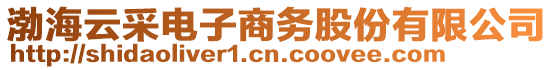 渤海云采電子商務股份有限公司