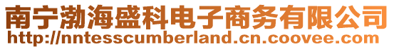 南寧渤海盛科電子商務有限公司