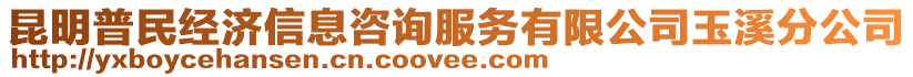 昆明普民經濟信息咨詢服務有限公司玉溪分公司