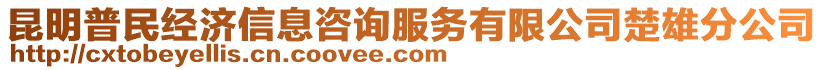 昆明普民經(jīng)濟(jì)信息咨詢服務(wù)有限公司楚雄分公司