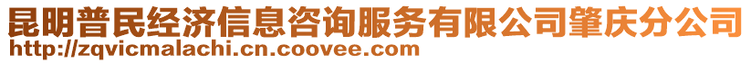 昆明普民經濟信息咨詢服務有限公司肇慶分公司