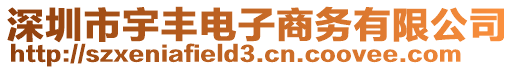 深圳市宇豐電子商務有限公司