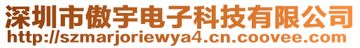 深圳市傲宇電子科技有限公司