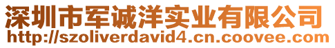 深圳市軍誠洋實業有限公司
