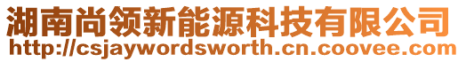 湖南尚領新能源科技有限公司