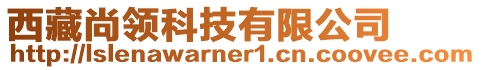 西藏尚領科技有限公司