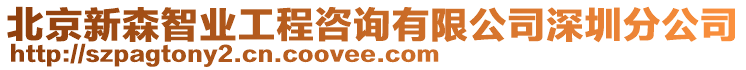 北京新森智業(yè)工程咨詢有限公司深圳分公司