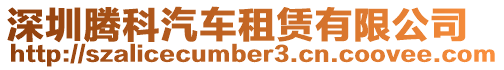 深圳騰科汽車租賃有限公司