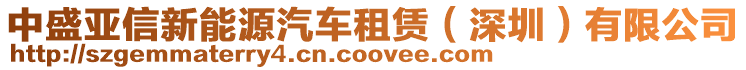 中盛亞信新能源汽車租賃(深圳)有限公司