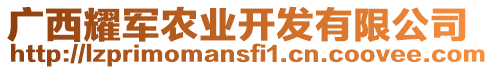 廣西耀軍農(nóng)業(yè)開發(fā)有限公司