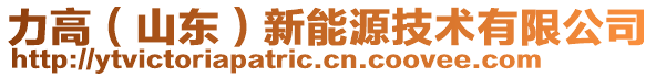 力高(山東)新能源技術有限公司