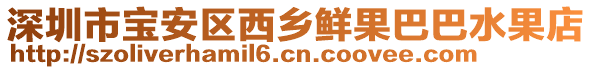 深圳市寶安區(qū)西鄉(xiāng)鮮果巴巴水果店