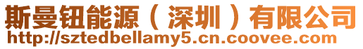斯曼鈕能源(深圳)有限公司