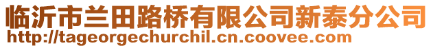 臨沂市蘭田路橋有限公司新泰分公司