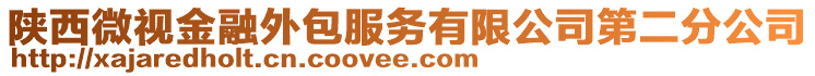 陜西微視金融外包服務有限公司第二分公司